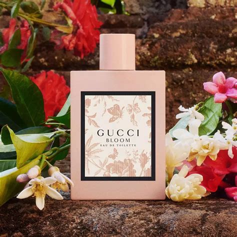 gucci bloom parfum homme|Gucci Bloom perfume smell.